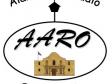 AARO Logo