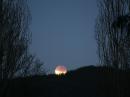 The August 16, 2008 partial eclipse as seen from Australia. [Rob Kaufman, Photo]