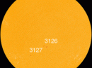 These two sunspots have simple magnetic fields that pose no threat for strong solar flares. [Photo courtesy of NASA SDO/HMI]