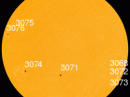 All of these sunspots have stable magnetic fields that pose little immediate threat for strong flares. [Photo courtesy of NASA SDO/HMI]